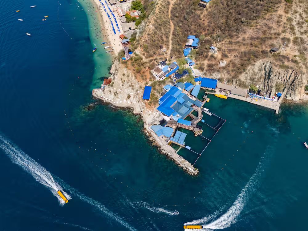 Centro de Vida Marina 1