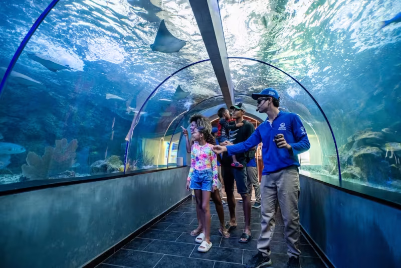 Familia recorriendo el túnel submarino del Centro de Vida Marina en Playa Blanca, acompañada por un guía mientras observan rayas y peces tropicales nadando alrededor