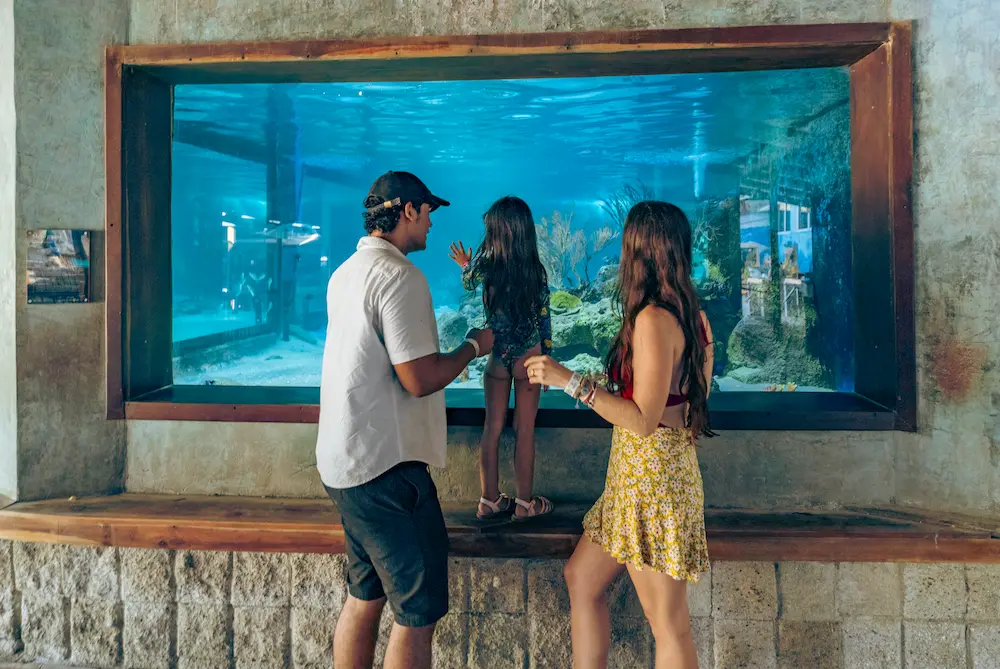 Centro de Vida Marina 5