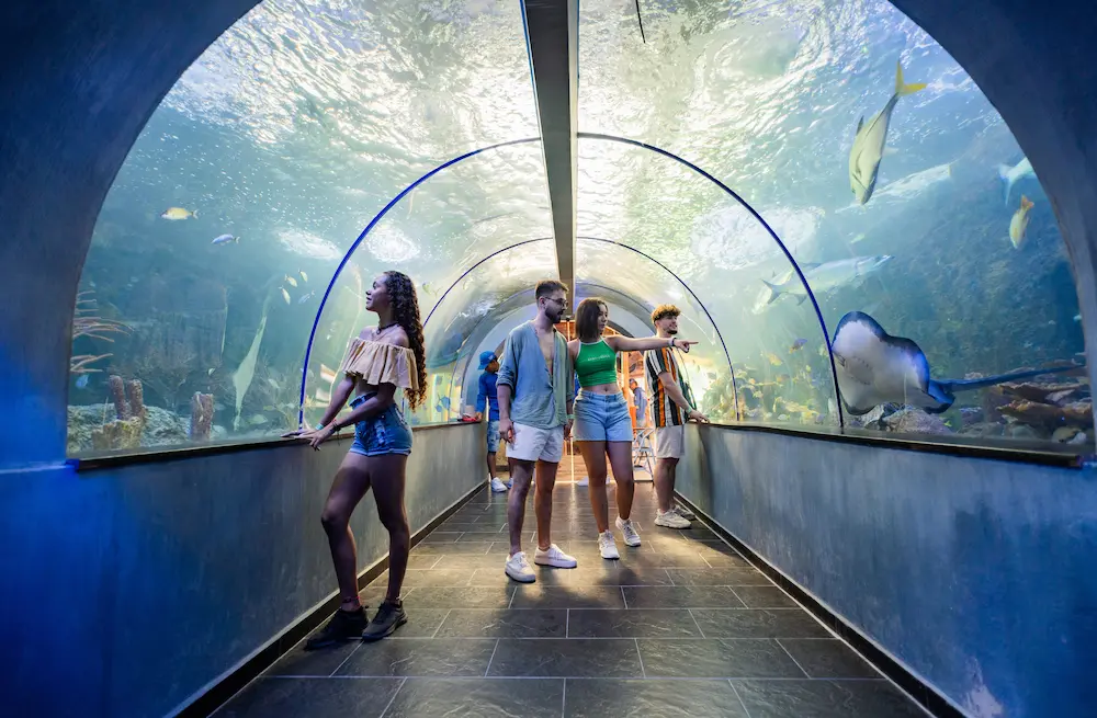 Centro de Vida Marina 7